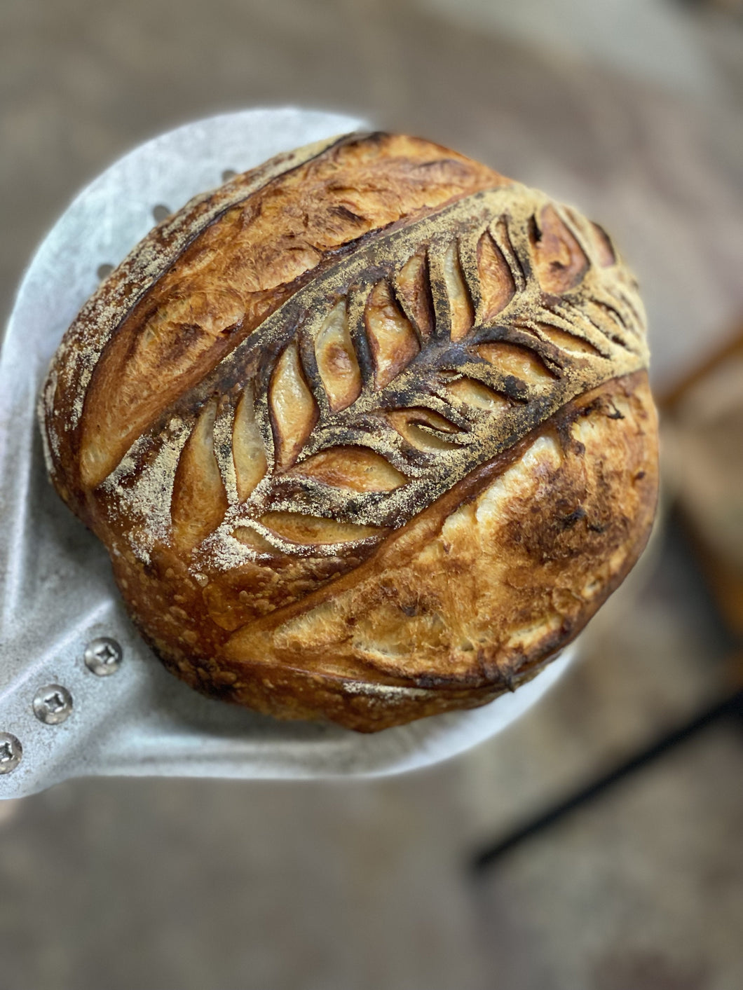 September 26th Sourdough Loaf TUESDAY Pick up only