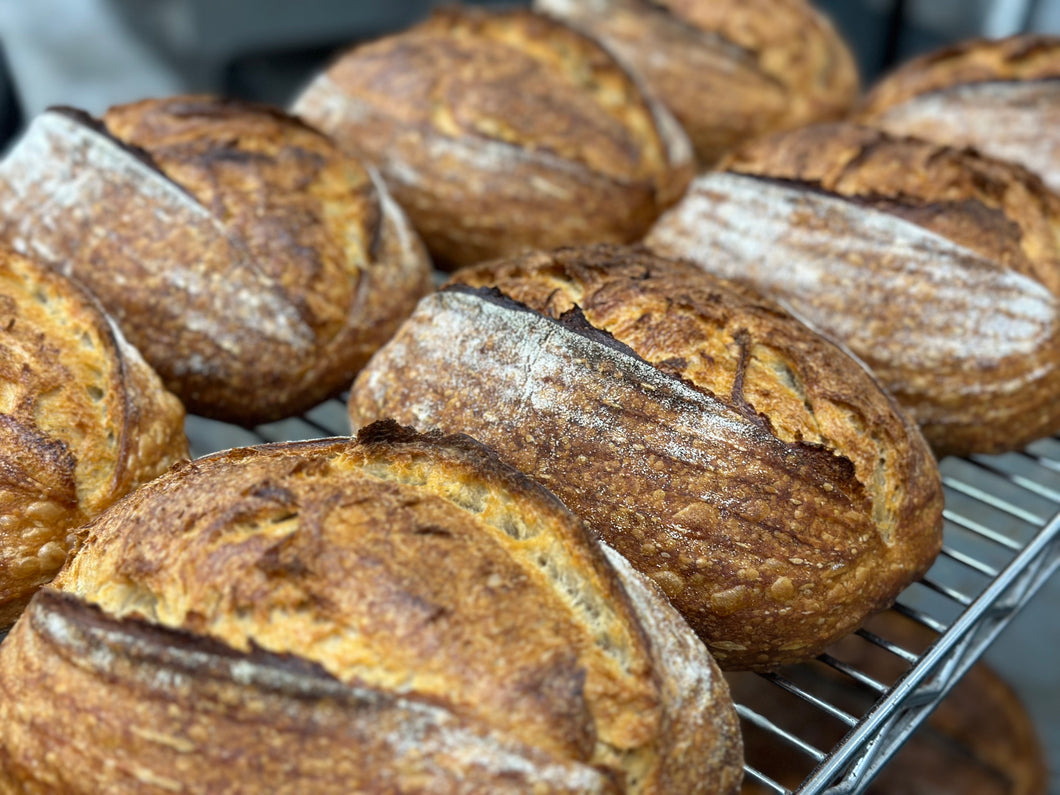September 29th Friday Cairnsprings Trailblazer Wheat Loaf